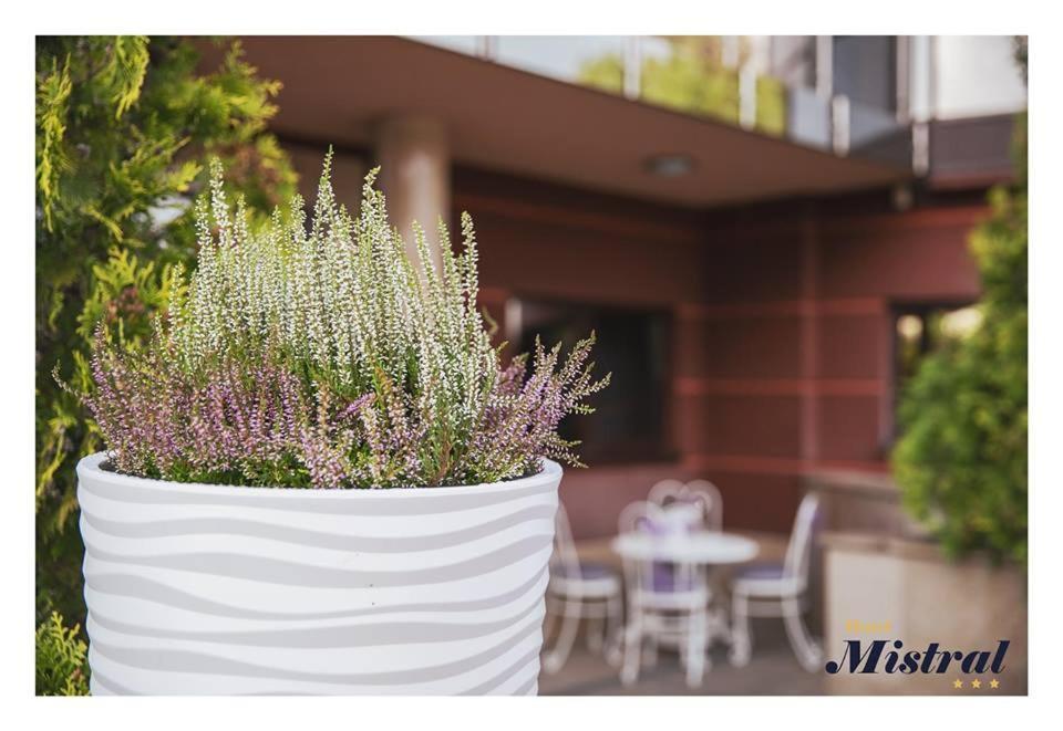 Hotel Mistral マルキ エクステリア 写真